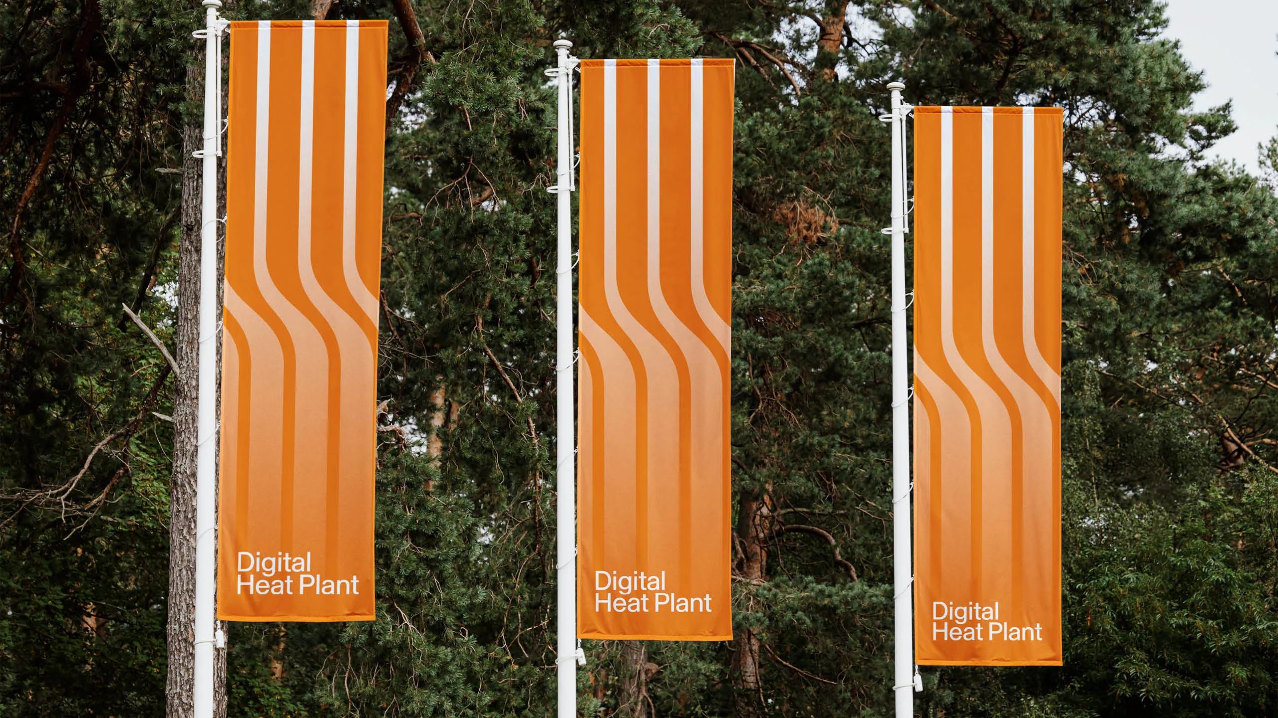 DHP flags